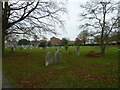 SZ6598 : An autumnal walk through Highland Road Cemetery (42) by Basher Eyre