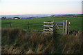 Path above Gallows Hall Farm