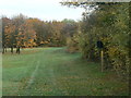 Footpath across the golf course