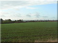 View from Wolds Lane