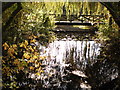 Stream to one side of the Beeches Way