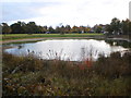 Pond at Gerrards Cross next to the common