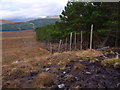 NH2159 : The western edge of forest plantation in Strath Bran by ian shiell