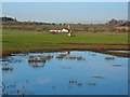 Flood Water, Greenhill, by  Kilmarnock