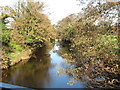 View north along the Upper Bann from the Cavan Road Bridge