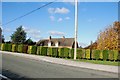 SK1529 : A very impressive hedge on Moreton Lane by Mick Malpass