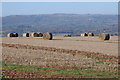 SO6666 : Straw bales and Clee Hill by Philip Halling
