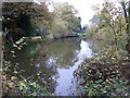 Pond by Newhouse Farm