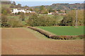 View to Eardiston