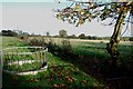 Sheep Pasture with Feeding Ring on Quee Lane