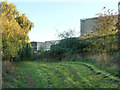 Footpath at the back of the Geological Survey