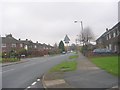 Fenwick Drive - viewed from Lingdale Road