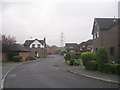 Mendip Way - Cheviot Gate