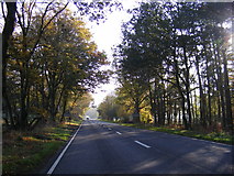 TG2119 : Entering Hainford on the A140  Cromer Road by Geographer
