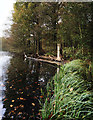 Moorgreen Reservoir and woodland