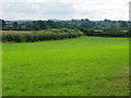 ST5412 : Grass field near East Coker by Maigheach-gheal