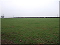 Farmland near Ranby Cottage Farm