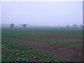 SK7176 : Farmland near Gamston by JThomas
