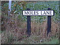 TM3686 : Moles Lane sign by Geographer