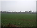 Farmland off Whinleys Road