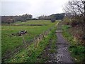 Path south of Bank Top, Throckley