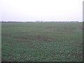 Farmland near East Drayton