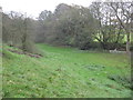 A narrow wooded valley below Beech Tree farm