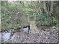 SJ6067 : A footbridge over a tributary of Shay's Lane Brook by Dr Duncan Pepper