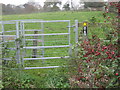 A modern metal kissing gate beside Clay Lane Farm