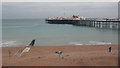TQ3103 : Brighton Pier, East Sussex by Christine Matthews