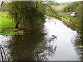 River Ebble, Broad Chalke - 7