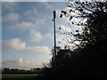 Mobile phone mast adjacent to the A533