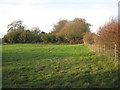 Grass field near Glentworth House