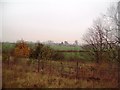 Batley Farm Viewed from Longhedge Lane