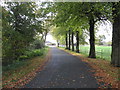 Entrance driveway to Stanthorne Hall