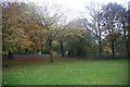 Fenced-off pond at Moss Bank Park