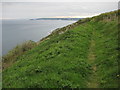 Coast path above Battern Cliffs