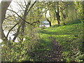 Willow fringed lakeside path at Bottom Flash