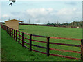 Paddock, Chasemore Farm