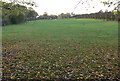 Horse paddock in Newton Harcourt