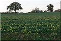 SP6497 : Farmland near Newton Harcourt by Mat Fascione