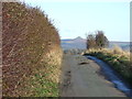 Green Lane towards Tunstall