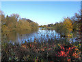 Poynton Lake