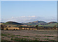 Farmland at Torr Forret