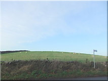 SD5267 : Green Hill from the Kirkby Lonsdale Road by David Brown