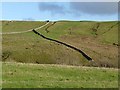 Hillside above Newbiggin