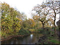 Melingriffith Feeder near Radyr