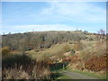 SJ2913 : View towards Rodney's Pillar in the Breidden Hills by Jeremy Bolwell
