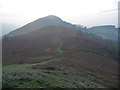 Converging paths in the Breidden Hills