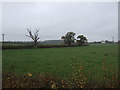 Farmland near Scarthingmoor Farm